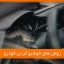 مناسب ترین روش های خوشبو کردن ماشین